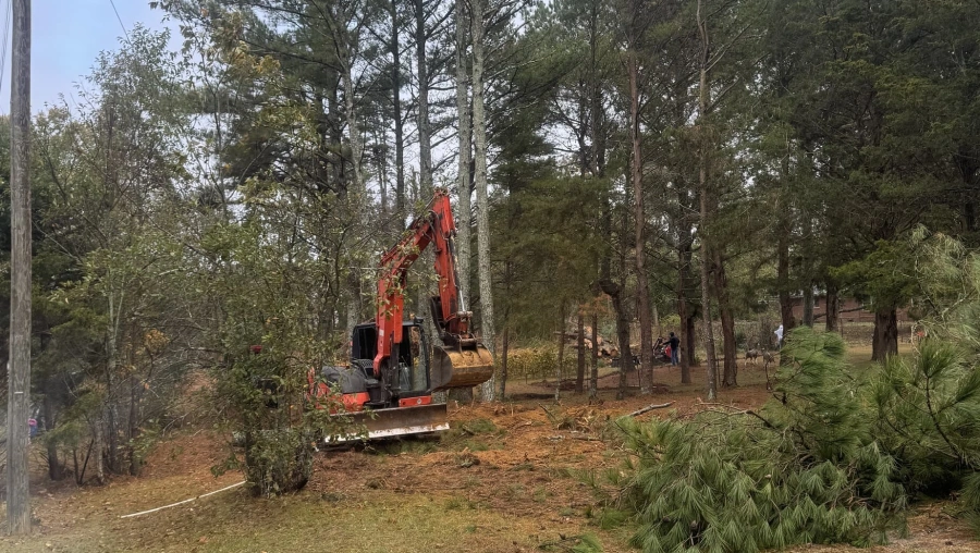 Land Clearing & Site Prep